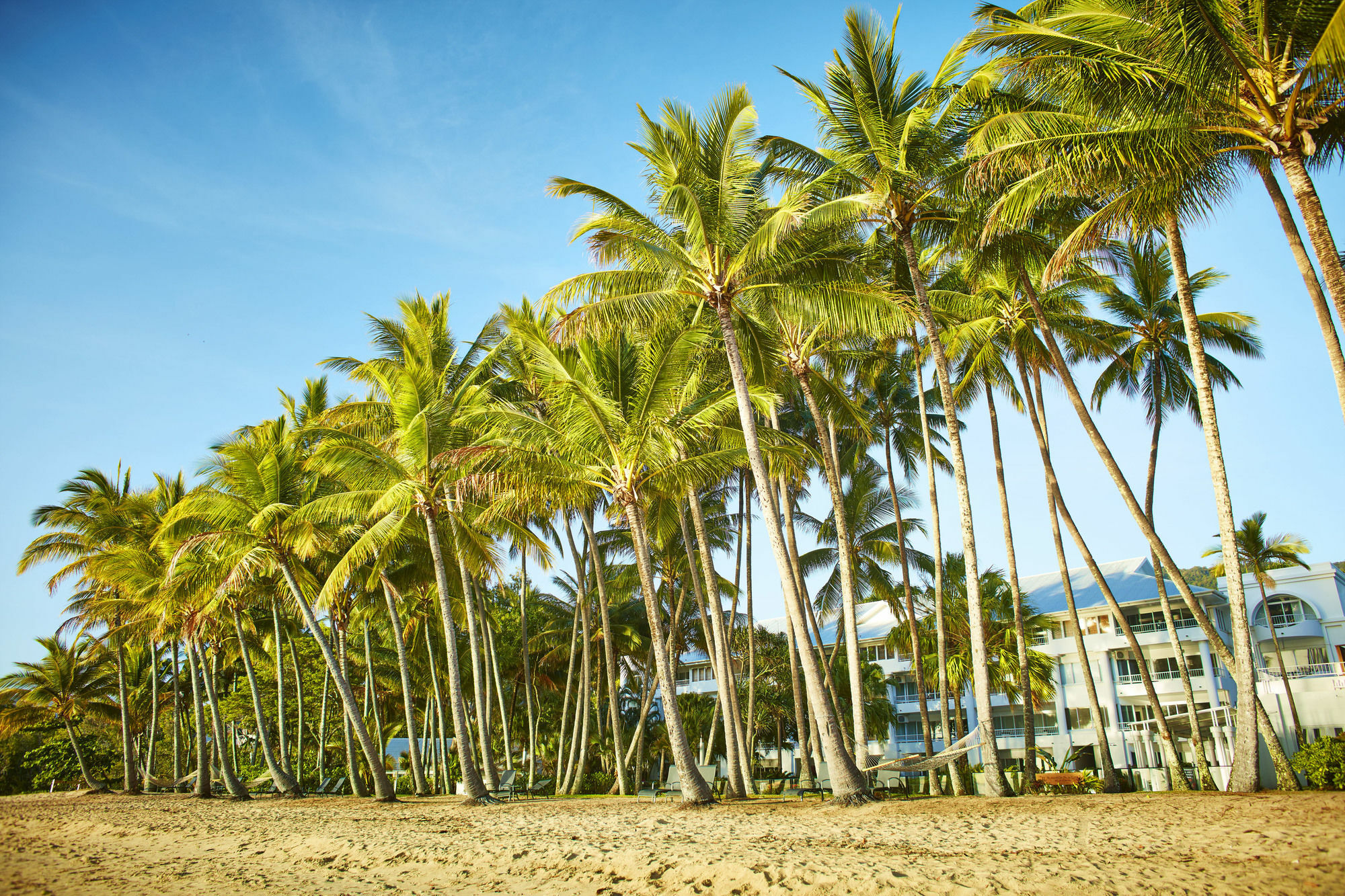 Alamanda Palm Cove by Lancemore Dış mekan fotoğraf